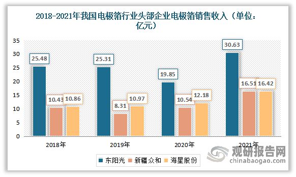 中国电极箔行业发展深度分析米乐M6 M6米乐与未来前景调研报告（2022-2029年）(图17)